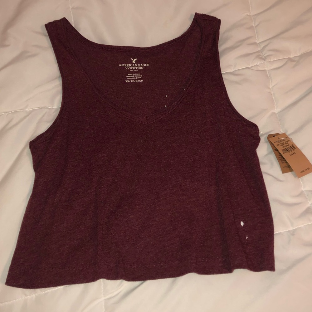 Distressed Maroon Crop Top.